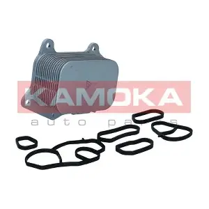 7730036 KAMOKA