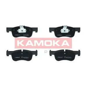 JQ101293 KAMOKA