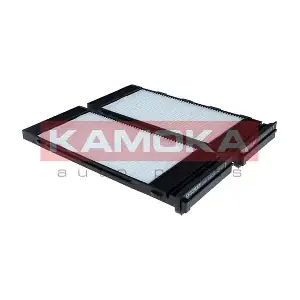 F429401 KAMOKA