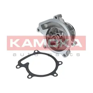 T0110 KAMOKA