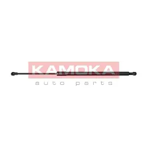 7092066 KAMOKA