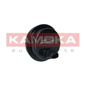 1060565 KAMOKA