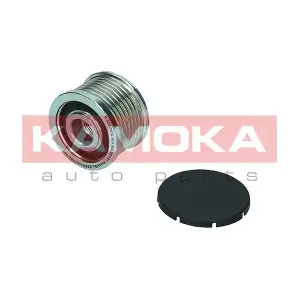 RC151 KAMOKA