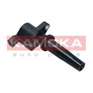 7120139 KAMOKA