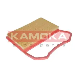 F233801 KAMOKA