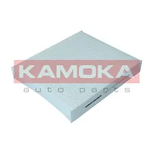 F403101 KAMOKA