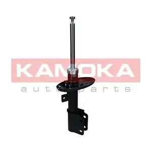 2000325 KAMOKA