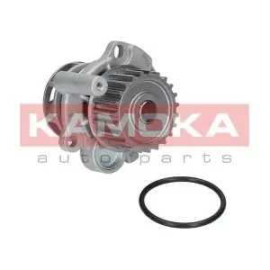 T0033 KAMOKA
