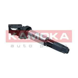 7120173 KAMOKA
