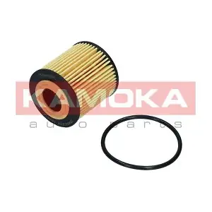 F120901 KAMOKA