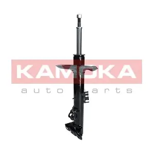 2000180 KAMOKA