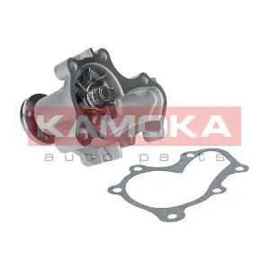 T0208 KAMOKA