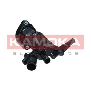 7710249 KAMOKA