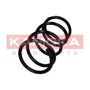 2110499 KAMOKA