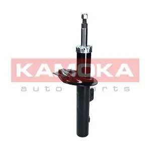 2001060 KAMOKA
