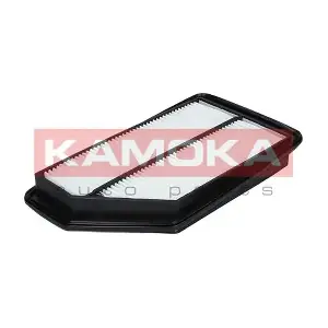 F211601 KAMOKA