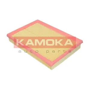 F202901 KAMOKA