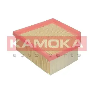 F228301 KAMOKA