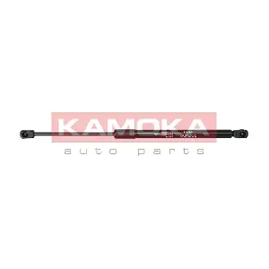 7092144 KAMOKA