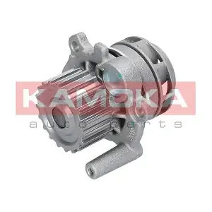 T0034 KAMOKA