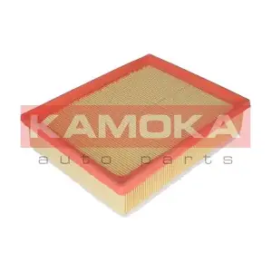 F231601 KAMOKA