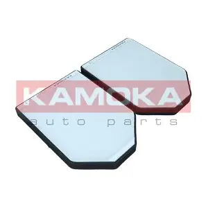 F429801 KAMOKA