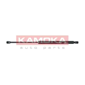 7092043 KAMOKA