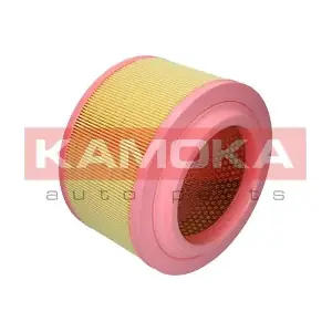 F259401 KAMOKA