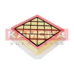 F222301 KAMOKA