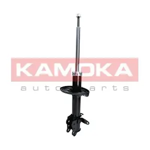 2000178 KAMOKA