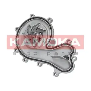 T0036 KAMOKA