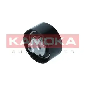 R0498 KAMOKA