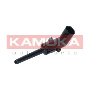 4100009 KAMOKA