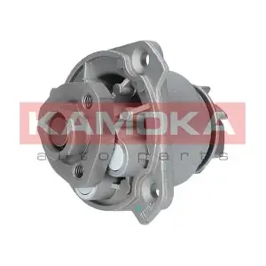 T0256 KAMOKA