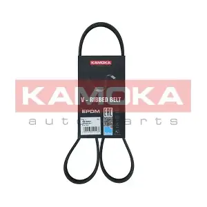 7016051 KAMOKA