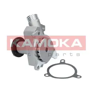 T0054 KAMOKA