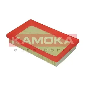 F200901 KAMOKA