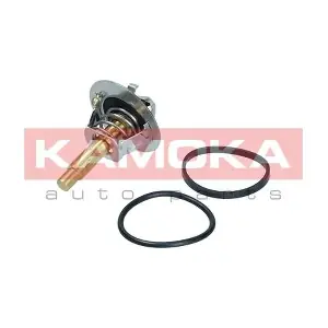 7710175 KAMOKA