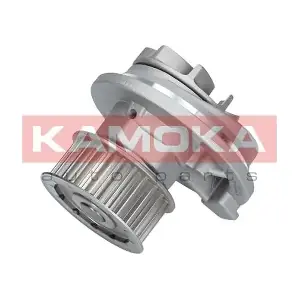T0069 KAMOKA