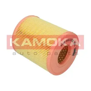 F236501 KAMOKA