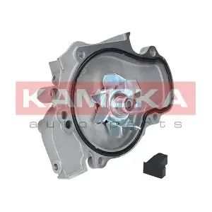 T0144 KAMOKA