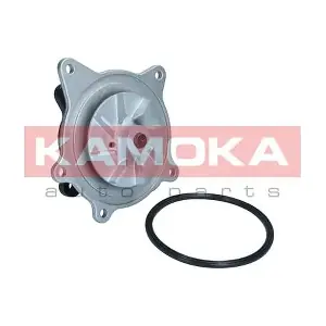 T0318 KAMOKA