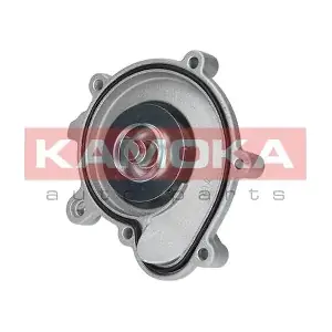 T0194 KAMOKA