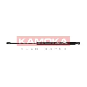 7092325 KAMOKA