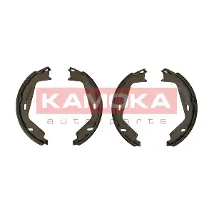 JQ212046 KAMOKA