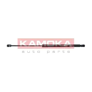 7092266 KAMOKA