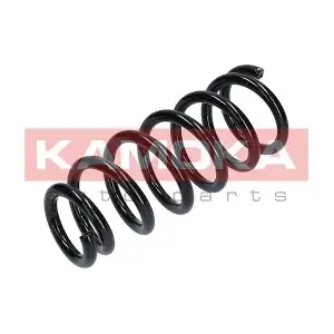 2120229 KAMOKA