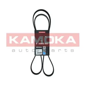 7016129 KAMOKA