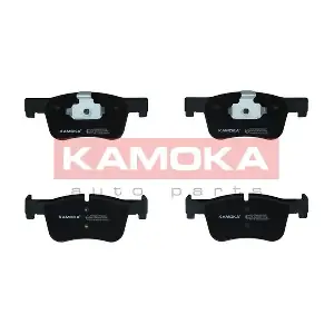 JQ101294 KAMOKA