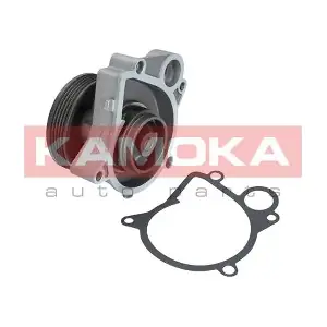 T0061 KAMOKA